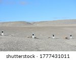 Small photo of Beechey Island, Nunavut / Canada - 2017: Eerily standing on Beechey Island are four graves: three members of an ill-fated expedition to the Northwest Passage, and a man who went looking for them