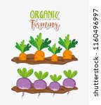 organic farming cartoons | Shutterstock .eps vector #1160496997
