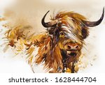 Bull. Animal Illustration....