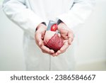 Small photo of Cardiovascular disease CVD, doctor with heart human model anatomy for treatment patient in hospital.