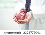 Small photo of Cardiovascular disease CVD, doctor with heart human model anatomy for treatment patient in hospital.