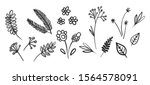 tiny flowers  little leaf ... | Shutterstock .eps vector #1564578091