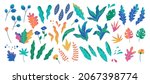 abstract modern foliage... | Shutterstock .eps vector #2067398774