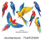 Tropical Parrots Collection....