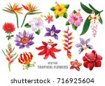 tropical flowers set. vector... | Shutterstock .eps vector #716925604