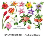 tropical collection with exotic ... | Shutterstock .eps vector #716925637