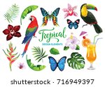 Tropical Collection For Summer...