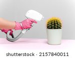 Small photo of A cactus in a light green pot with yellow needles stands on a pink table, a laser hair removal device is aimed at it, the nozzle body on a gray background. Hair removal, joke, laser epilation, fun