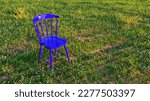  Blue Wooden Chair In Green...