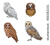 Owl Illustration Birds  Set...