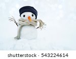 Small Snowman In A Cap And A...