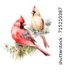 Male And Female Cardinals...