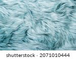 Fur Texture Top View. Turquoise ...