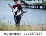 A Man Feeding Seagulls By The...