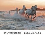 Running Horses On Water 