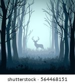 deer in autumn misty forest... | Shutterstock .eps vector #564468151