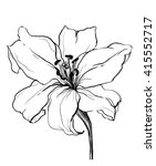 Decorative White Lily Flower In ...