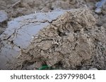 Small photo of plowed land close-up, freshly plowed land with a plow in the spring in the field