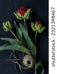 Small photo of Red green parrot tulips with a vintage scissors and a hank of natural jute twine on a black background, low key moody photo of natural flowers