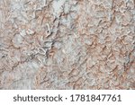Small photo of Undulatory texture of white calcite stalactites