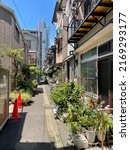An oasis in nostalgic back alley of Japanese old folk houses in Tokyo