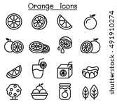 orange icon set in thin line... | Shutterstock .eps vector #491910274