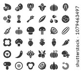 vegetable icon set 2 2  solid... | Shutterstock .eps vector #1079463497