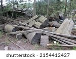 old timber pile, wood stack in forest, messy lumber yard