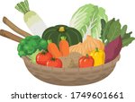 Many Vegetables In The Basket