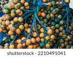 Small photo of Orange betel nuts or Areca catechu nut fruit bunches in its palm tree. Betel nut is the seed of the fruit of the areca palm. Areca nut aka betel nut at a market for sale.