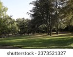 Small photo of Nogent sur Marne, France - 10 07 2023 : Watteau Park, public park, town of Nogent sur Marne, Val de Marne department, France