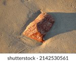 Small photo of Wet stone on the sand of the beach gingerly from the sunset reflex