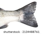 Small photo of Tail of Half Corb, Meagre, Yellowmouth on a white background
