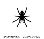 silhouette of a tarantula... | Shutterstock .eps vector #2039179427