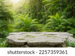 Stone product presentation podium in a jungle nature background
