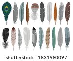 Feather Of Bird Cartoon Vector...
