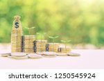 Small photo of Financing sustainable growth, financial concept : Dollar money bag / green sprout grow on coins, depicts passive income, wealth management from revenue growth, common stock invest for dividend payout