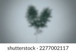 Defocused Image Of A Heart...