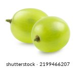 Grapes isolated. Two green grapes on a white background. Fresh fruits.
