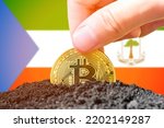 Small photo of Legalization of bitcoin in Equatorial Guinea. Planting grain bitcoin in the ground on the background of the flag of Equatorial Guinea. Equatorial Guinea - investment in cryptocurrency