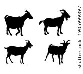 Vector Illustration Of Goat...