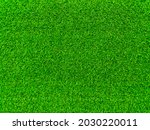 Green Grass Texture Background...