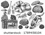 truffles mushrooms set. hog and ... | Shutterstock .eps vector #1789458104
