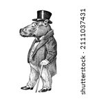 fashionable hippopotamus in... | Shutterstock .eps vector #2111037431