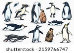 emperor penguin and cute baby.... | Shutterstock .eps vector #2159766747