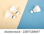 Shuttlecock is a sport equipment used to play with badminton racket. Made from white chicken feathers Arranged on a variety of colored paper