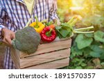Small photo of Asian Farmer woman holding wooden box full of fresh raw vegetables (bell peppers, carrots, broccoli, radish, baby corn, green peas and sweet peas ) in the hands.Concept of biological, bio products