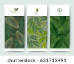 branding package flower nature... | Shutterstock .eps vector #631713491