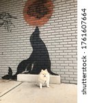 Small photo of Muggles the Pomeranian at a pic created by banksy. Seal with a ball in Brooklyn.