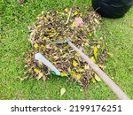 Small photo of Tools for yard (backyard, Greensward, Sward) maintenance (rake, dustpan) to sweep grass and leaves for clean the lawn(Greensward, Sward) after cutting.